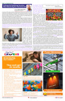 Page _ 26