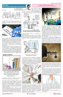 AZ INDIA _ January_  2025-11