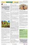 AZ INDIA DECEMBER EDITION 27